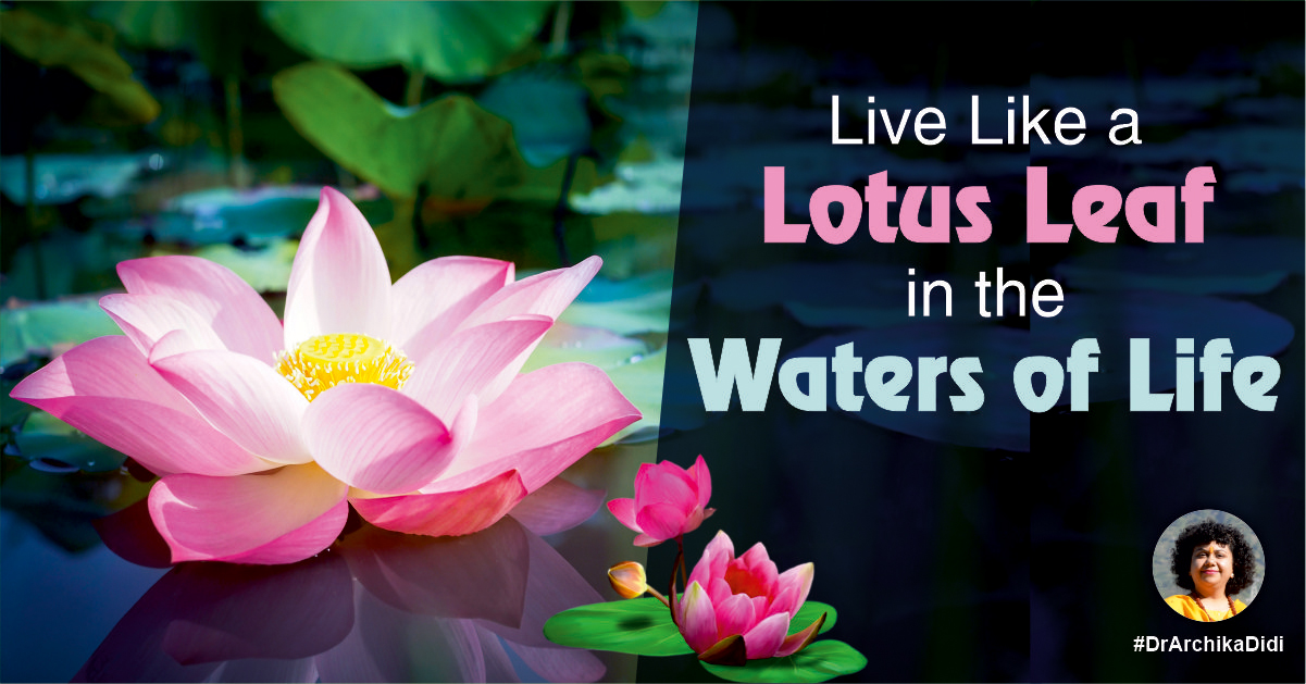 Live Like a Lotus Leaf in the Waters of Life