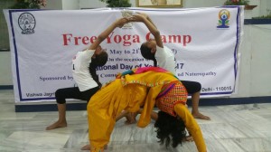 International Yoga Day - 21st June, 2017 (13)