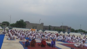 International Yoga Day, 2015 at Bani Camp