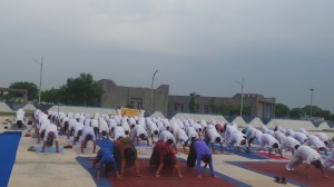 Yoga Day, 2015 (36)