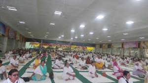 Yoga Retreat, 2015 (13)